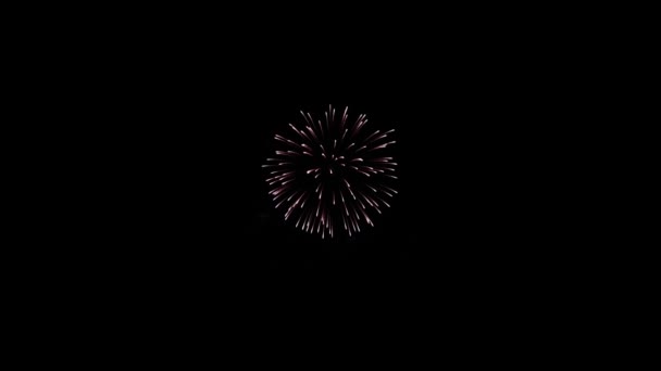夜晚天空中金色的大焰火爆竹灯阿尔法绿色荧幕动画 — 图库视频影像