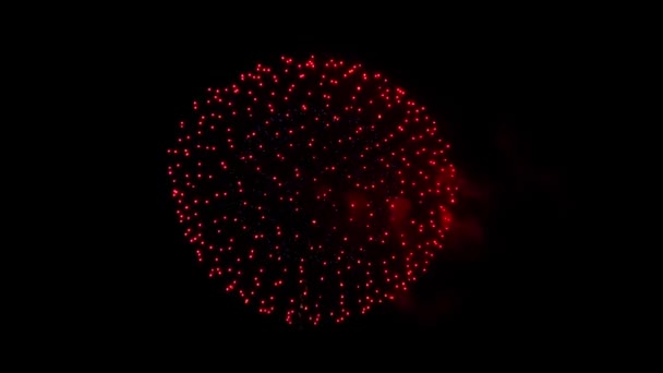 Piękne wielokolorowe fajerwerki w animacji pętli nocnego nieba — Wideo stockowe