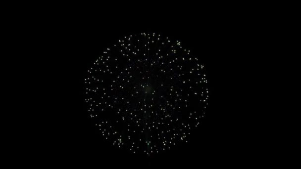 Multi colore Fuochi d'artificio Esplosione display cielo notte Animazione Alpha Green Screen . — Video Stock