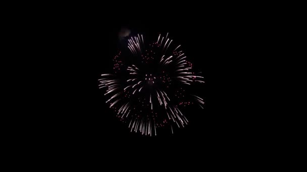 Multi cor fogos de artifício Explosão exibição céu noite animação Alpha Green Screen . — Vídeo de Stock