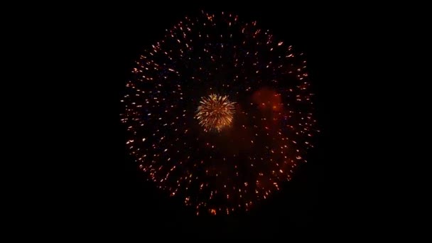 Kleurrijke vuurwerk Explosie Licht in de Nacht Hemel Groene Scherm Animatie. — Stockvideo