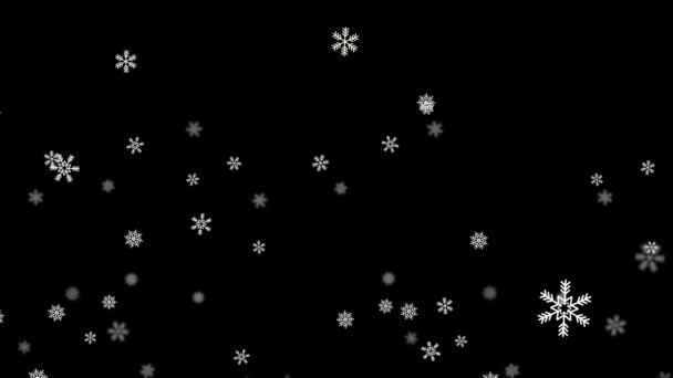Fallender Schnee isoliert auf schwarzem Hintergrund Green Screen Loop Animation. — Stockvideo