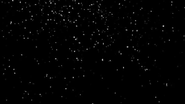 Падение снега изолированы на черном фоне Зеленый экран Петля анимации. — стоковое видео