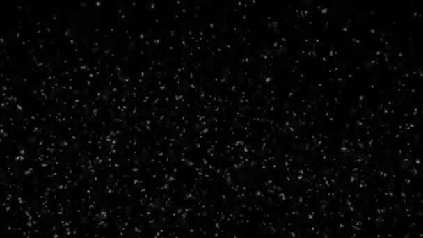 Soyut Düşen Kış Karsız Döngü Animasyon Yeşil Ekran Alfa. — Stok video