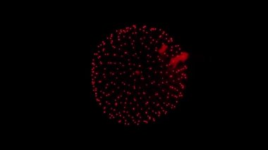 Çok renkli Havai fişek Patlaması Gökyüzü Gecesi Canlandırma Alfa Yeşil Ekranı.