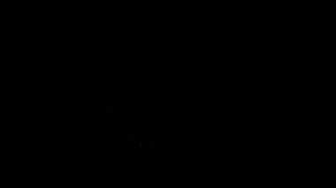 Çok renkli Havai fişek Patlaması Gökyüzü Gecesi Canlandırma Alfa Yeşil Ekranı.