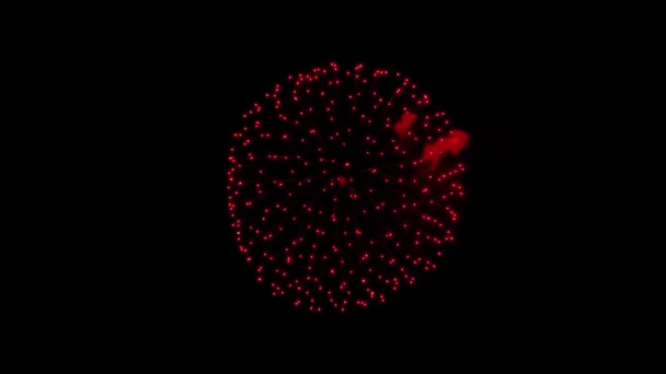 多色烟火爆炸显示夜空动画阿尔法绿色屏幕. — 图库视频影像