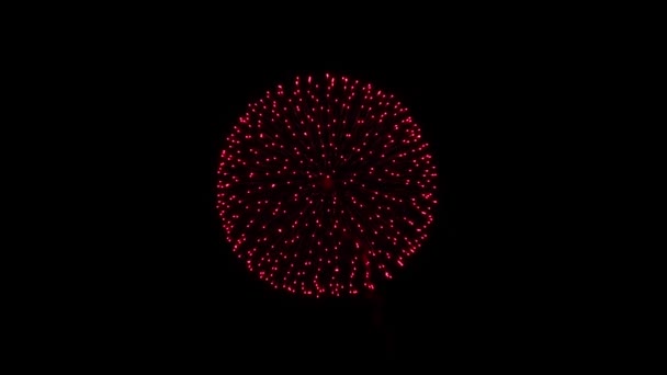 Kleurrijke vuurwerk Explosie Licht in de Nacht Hemel Groene Scherm Animatie. — Stockvideo