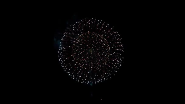 Schöne Feuerwerk Explosion 4k Animation. — Stockvideo