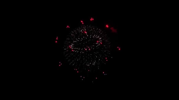 Mooi vuurwerk Explosie 4k animatie. — Stockvideo