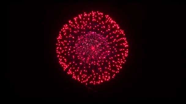 Hermosos fuegos artificiales Explosión espectáculo en el cielo nocturno Animación con pantalla verde . — Vídeo de stock