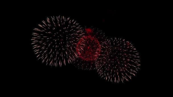 Bela Multi coloridos fogos de artifício no céu noturno Loop Animação — Vídeo de Stock