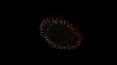 Güzel Havai fişekler Patlama 4k animasyon.