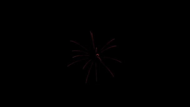 Hermosos fuegos artificiales Explosión animación 4k . — Vídeo de stock