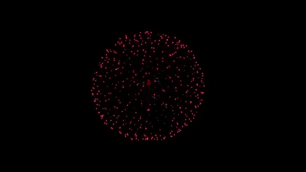 Kleurrijke vuurwerk Explosie Licht in de Nacht Hemel Groene Scherm Animatie. — Stockvideo