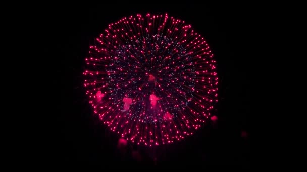 Coloridos fuegos artificiales Explosión de luz en el cielo nocturno Animación pantalla verde . — Vídeo de stock