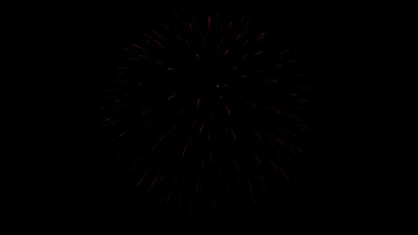 Beaux feux d'artifice multicolores dans le ciel nocturne Boucle Animation — Video