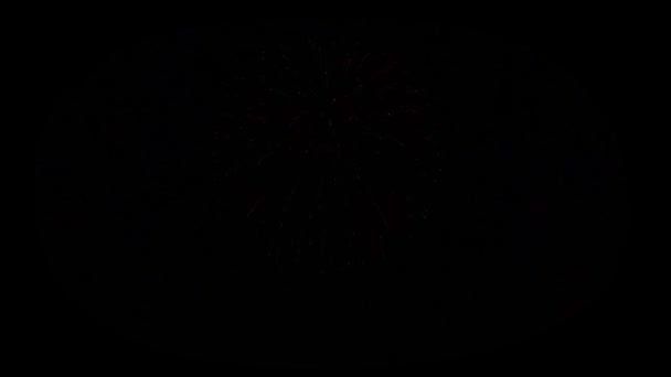 Hermosos fuegos artificiales Explosión espectáculo en el cielo nocturno Animación con pantalla verde . — Vídeo de stock