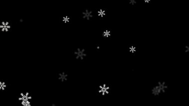 Doğal Kış Karlı Noel Döngüsü Canlandırma Yeşil Ekran Alfa