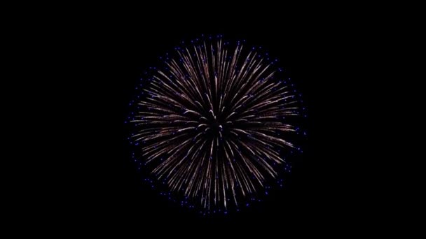 Όμορφα πυροτεχνήματα έκρηξη 4k animation. — Αρχείο Βίντεο