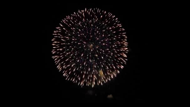 Belle explosion de feux d'artifice animation 4k . — Video