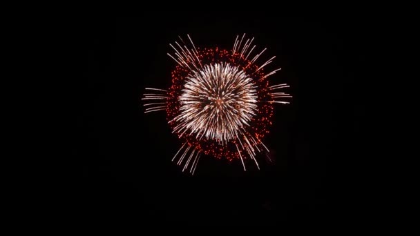 Lumière d'explosion de feux d'artifice colorés dans le ciel nocturne Animation d'écran vert . — Video