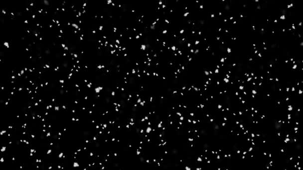 Πτώση χιόνι απομονώνονται σε μαύρο φόντο Πράσινη οθόνη Βρόχο Animation. — Αρχείο Βίντεο