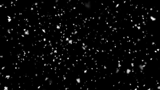 Nieve cayendo aislada sobre fondo negro Pantalla verde Loop Animation. — Vídeos de Stock