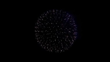 Güzel havai fişek gösterisi Gece gökyüzünde Yeşil ekranlı animasyon.