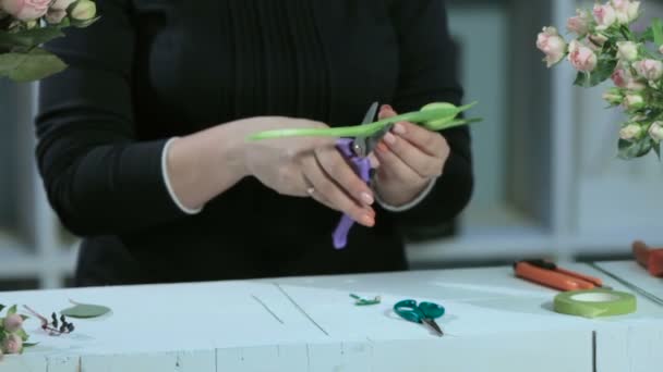 Uma florista corta uma tulipa de flores em uma mesa branca — Vídeo de Stock