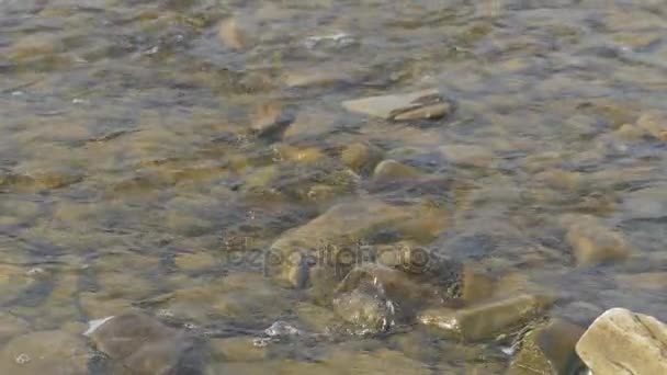 Een rivier stroomt over rotsen in deze mooie scène in de bergen in de herfst — Stockvideo