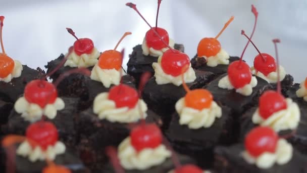 Casamento, buffet de doces, delicioso Candy bar em um casamento — Vídeo de Stock