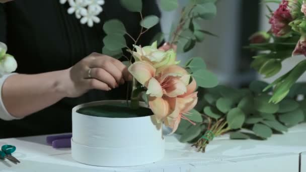 꽃집 손은 아마릴리스 유칼립투스와 흰색 상자에 꽃다발을 만들 — 비디오