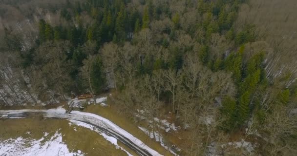 Luftaufnahme von der Drohne, Flug über dem Frankenwald Ukraine — Stockvideo