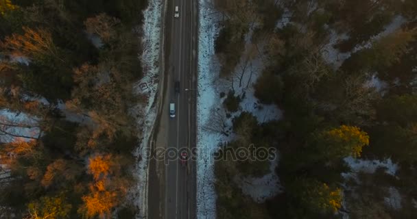 Légifelvételek át az út, az autók között forest sunset — Stock videók