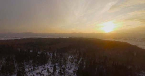 Luchtfoto. winter woods boslandschap. prachtige natuur, zonsondergang schemering — Stockvideo