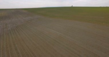 Havadan görünümü, arka plan bu alanın ortasında yalnız ağaç