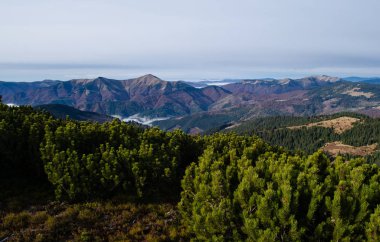 sabah sonbahar dağ manzarası