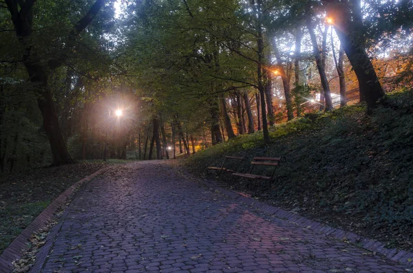 Night view of the park