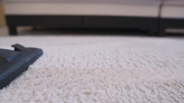 Крупним планом вовняний килим з промисловим пилососом — стокове відео
