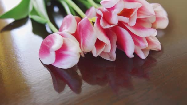 Kytice tulipánů v pozadí slunečního světla na stole uvnitř — Stock video