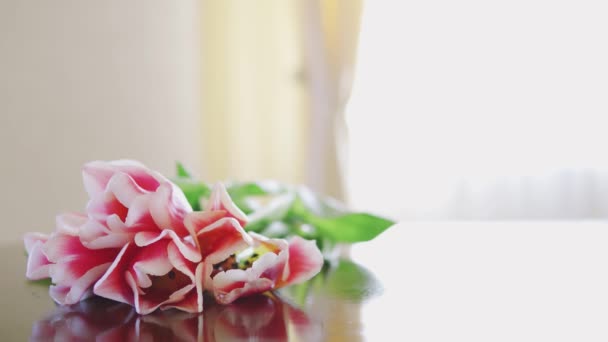 Egy Csokor Tulipán Virág Háttérben Napfény Egy Asztal Beltéri — Stock videók