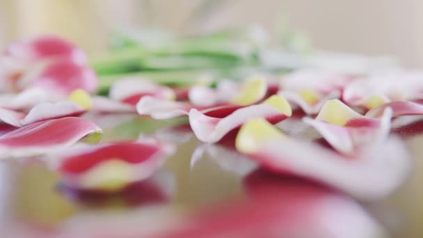 Macro tiro de pétalos regalo de tulipanes rosados románticos para las madres día de fiesta en la mesa — Vídeo de stock