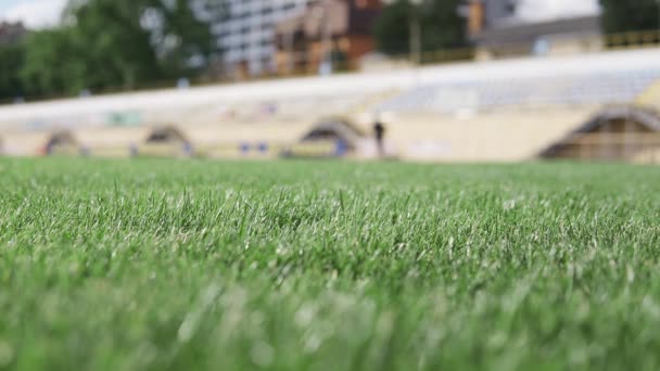 Athlete runs around the stadium at the background of green grass piece field — Stock Video