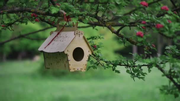 Colgando vacío alimentador de aves de madera en un árbol en el patio trasero dolly shot — Vídeo de stock