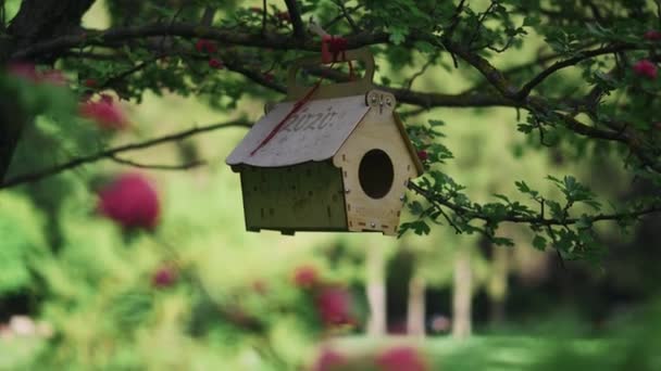 Gros plan des mangeoires d'oiseaux vides suspendues à un arbre. Soins des animaux — Video