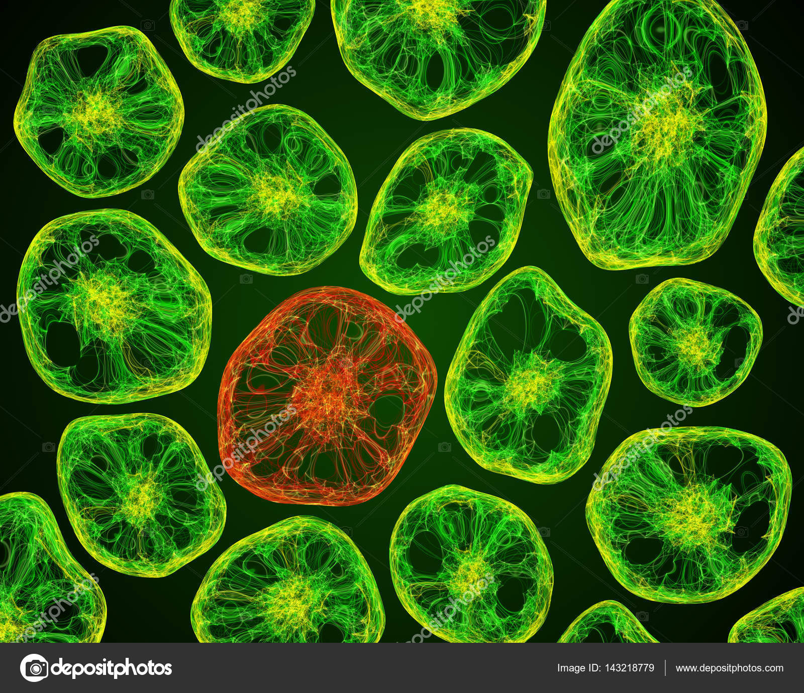 Bacterial Cell Under Light Microscope