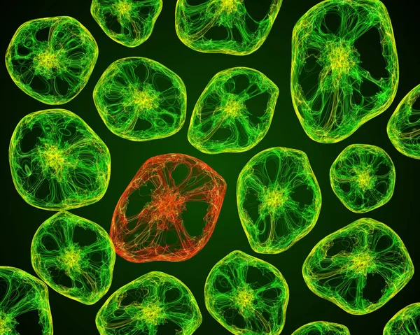 La vie au microscope des cellules — Photo