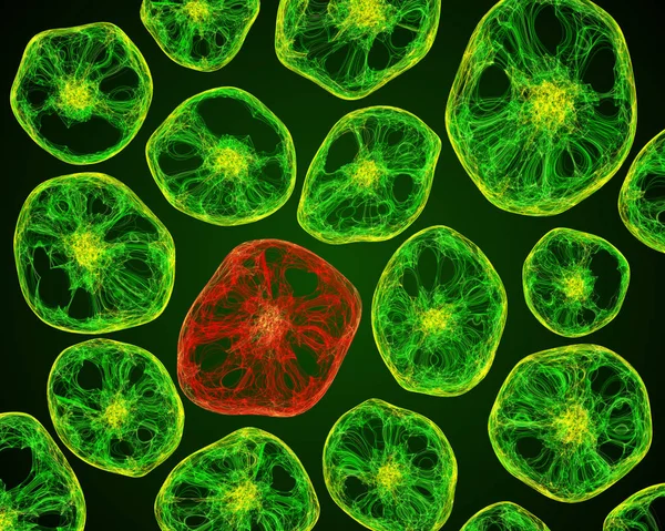 Vida bajo el microscopio de las células — Foto de Stock