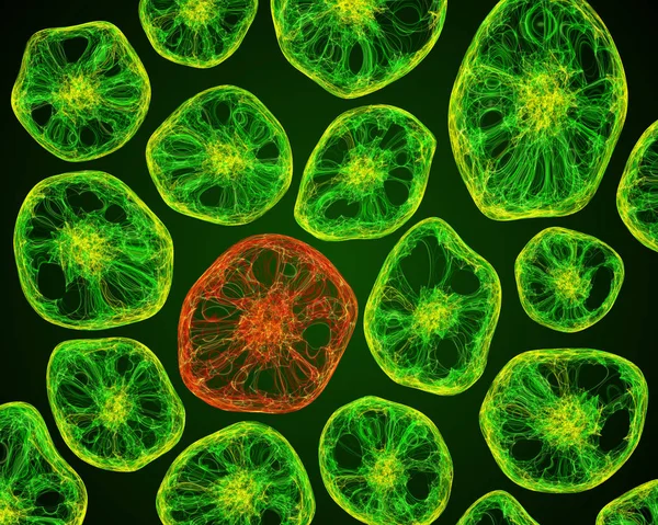 Life under the microscope of cells Stock Image